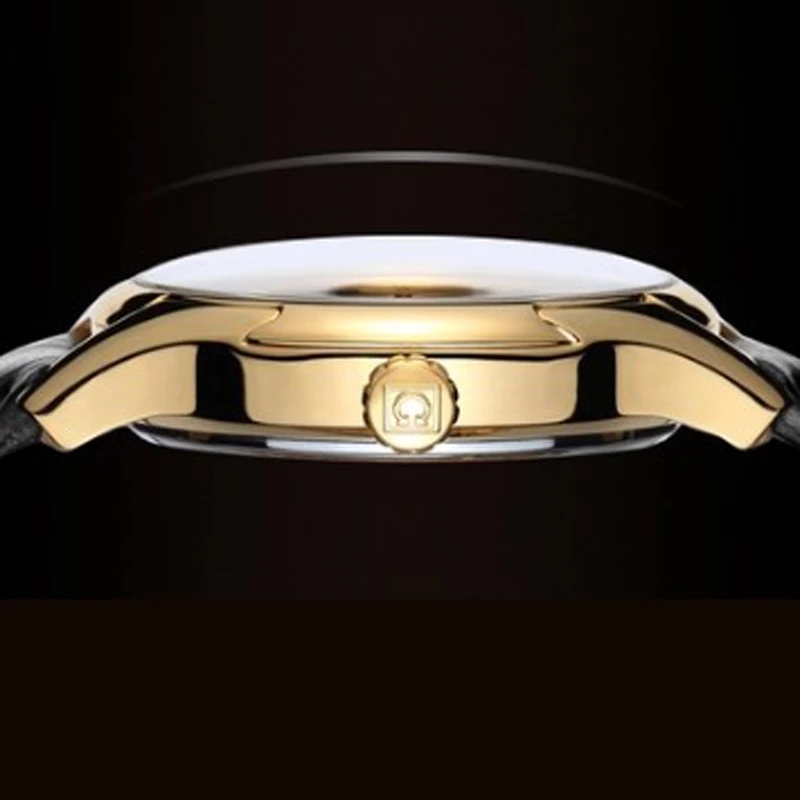 Carnival Brand Luxury Watches  - Luxury Watch Winder ulasan dan harga